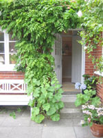 Indgang